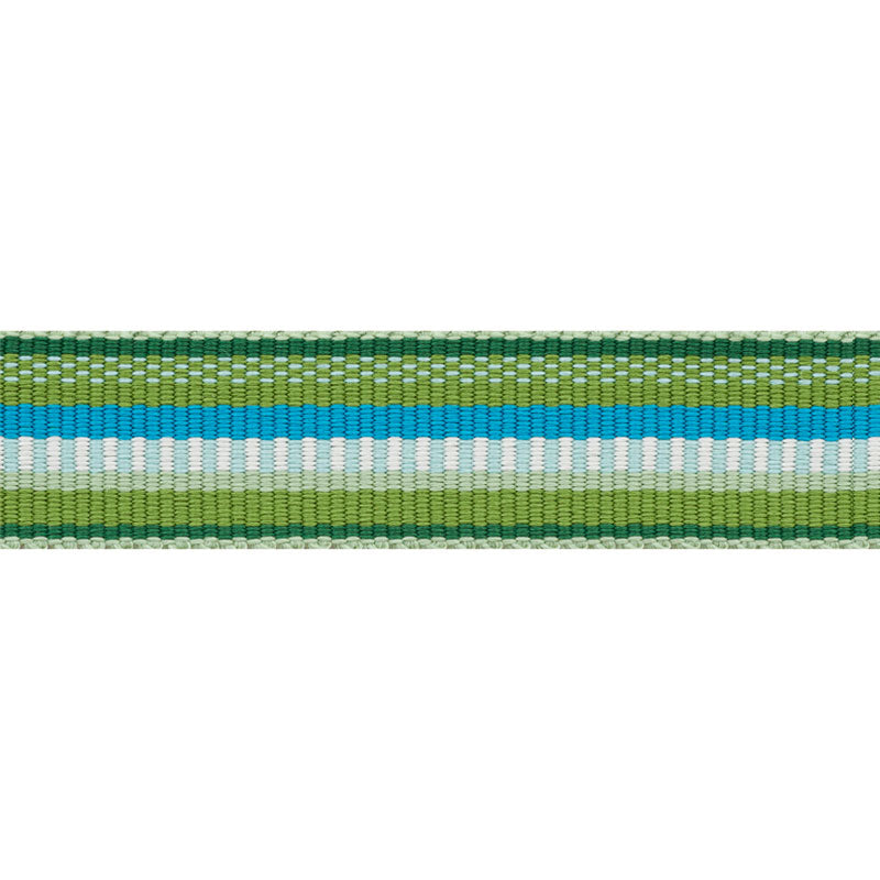 PRIMAVERA-TAPE-NARROW-MEADOW-SCHUMACHER-75980
