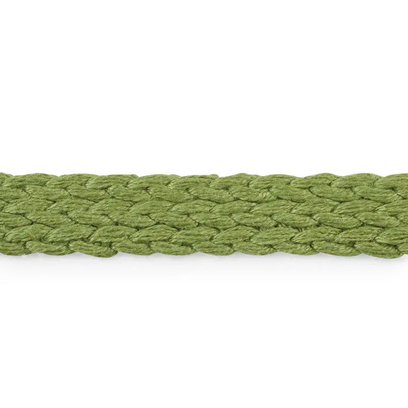 BRAIDED-LINEN-TAPE-MEDIUM-LEAF-SCHUMACHER-76281