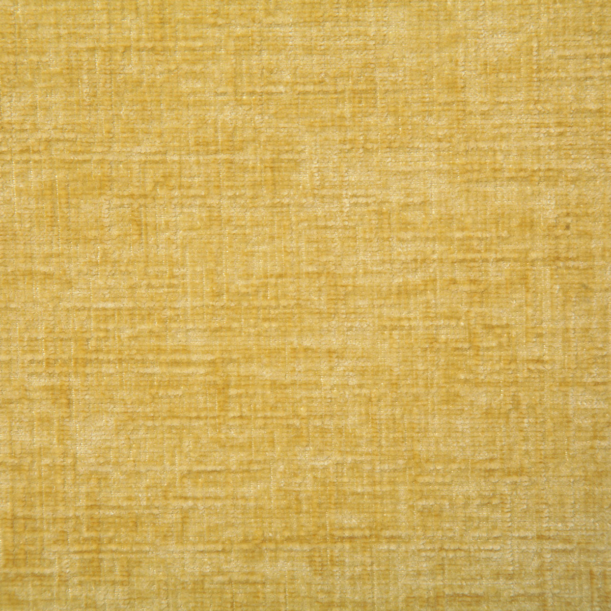 7635-young-daffodil-pindler - Pindler Tela