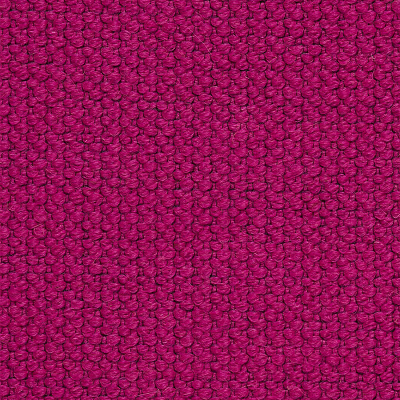 ALPINE-FUCHSIA-SCHUMACHER-76453