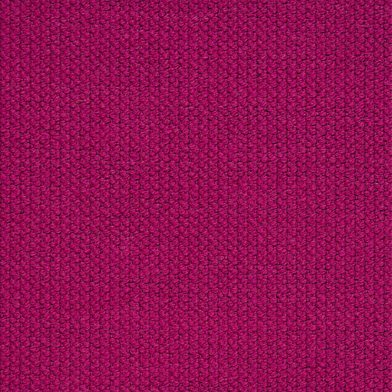 ALPINE-FUCHSIA-SCHUMACHER-76453