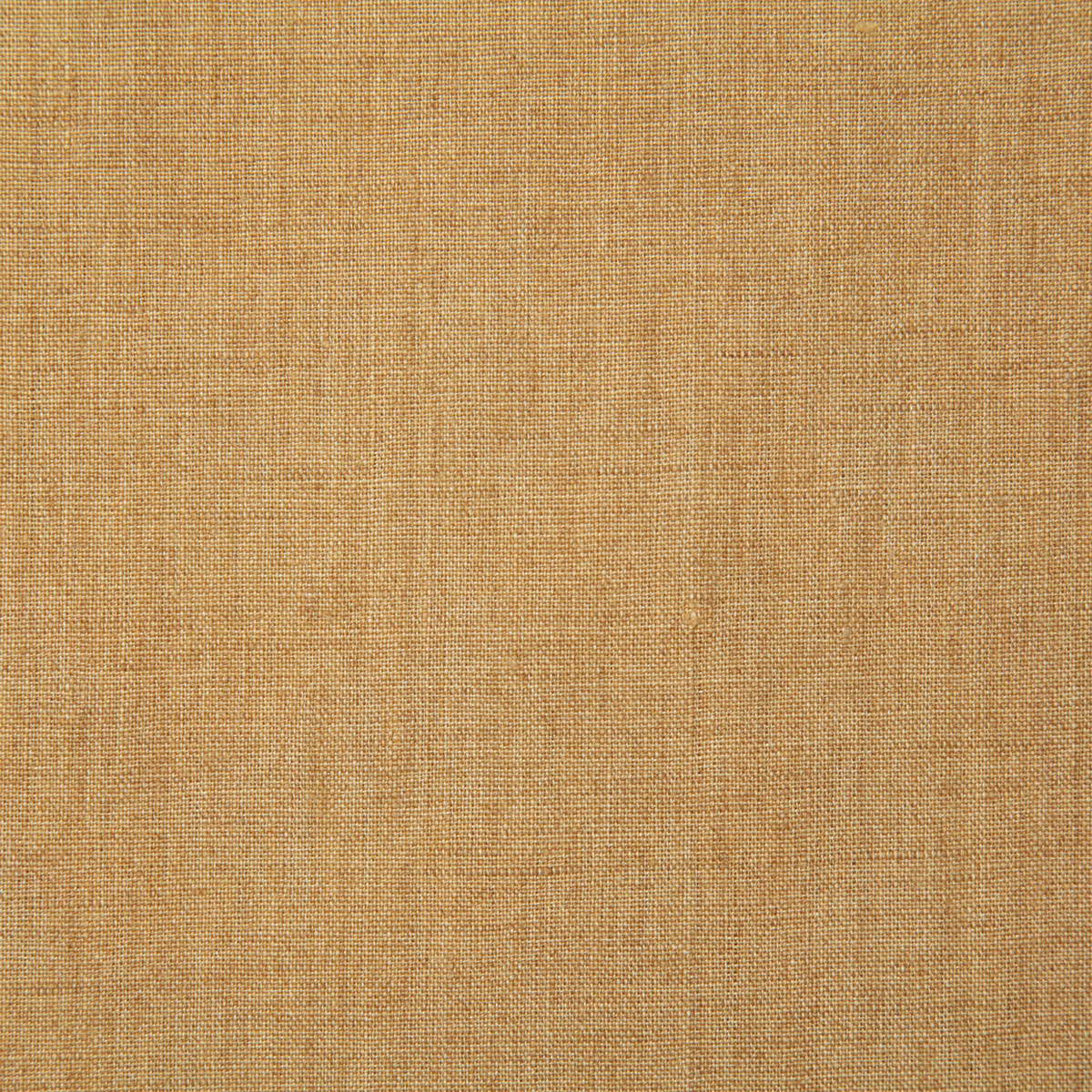 7646-linette-gold-pindler