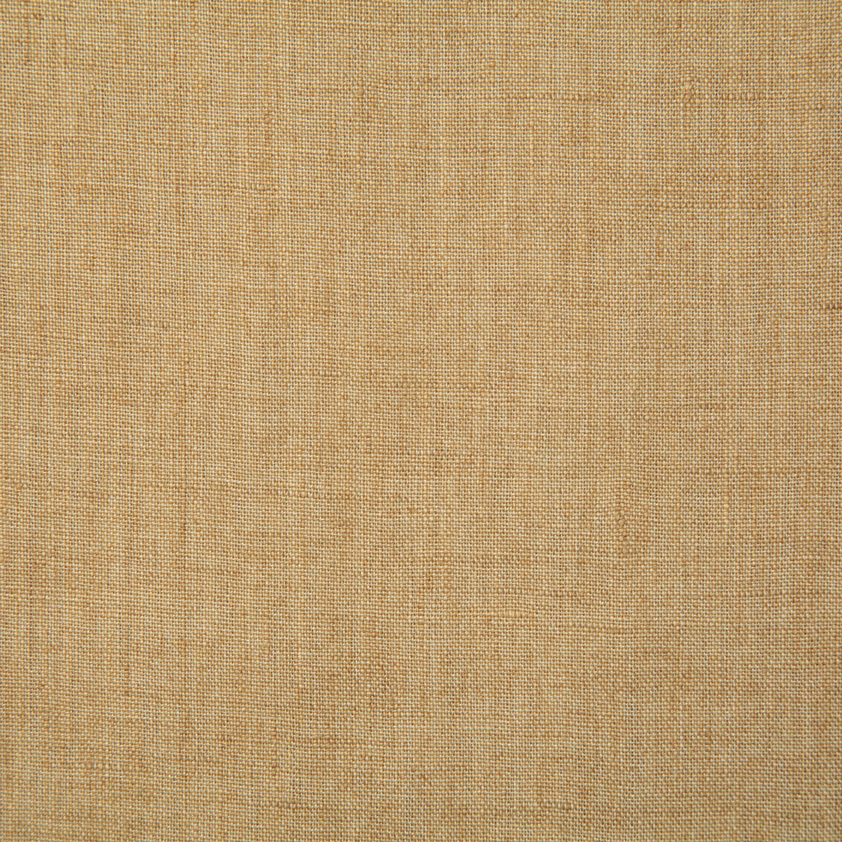 7646-linette-wheat-pindler