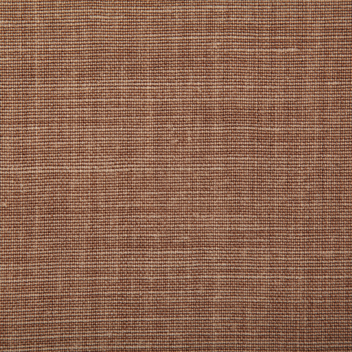 7647-paloma-spice-pindler