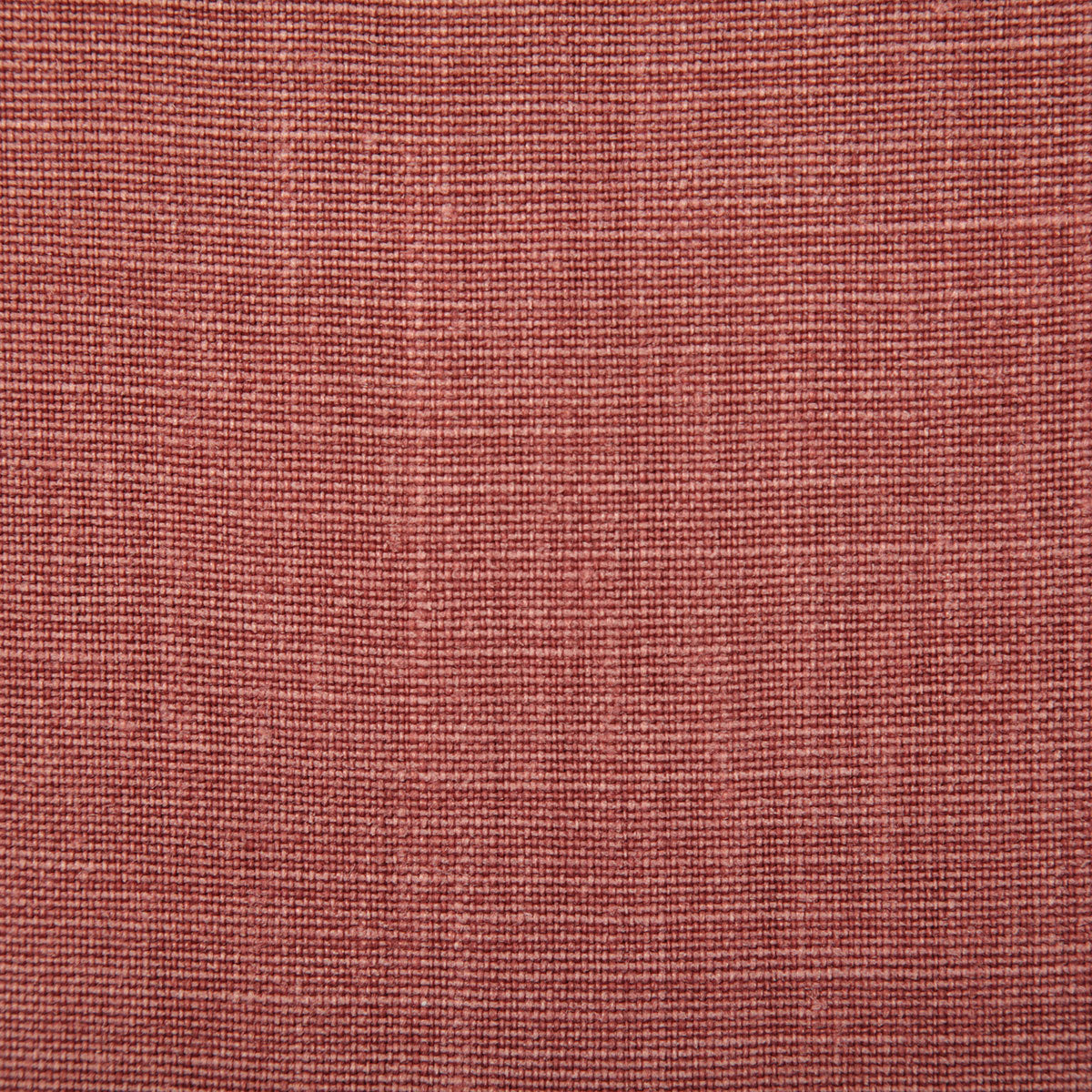 7647-paloma-terra-pindler - Pindler Tela