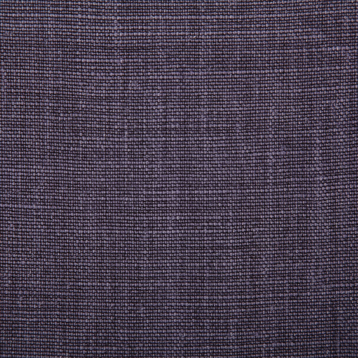 7647-paloma-violet-pindler - Pindler Tela