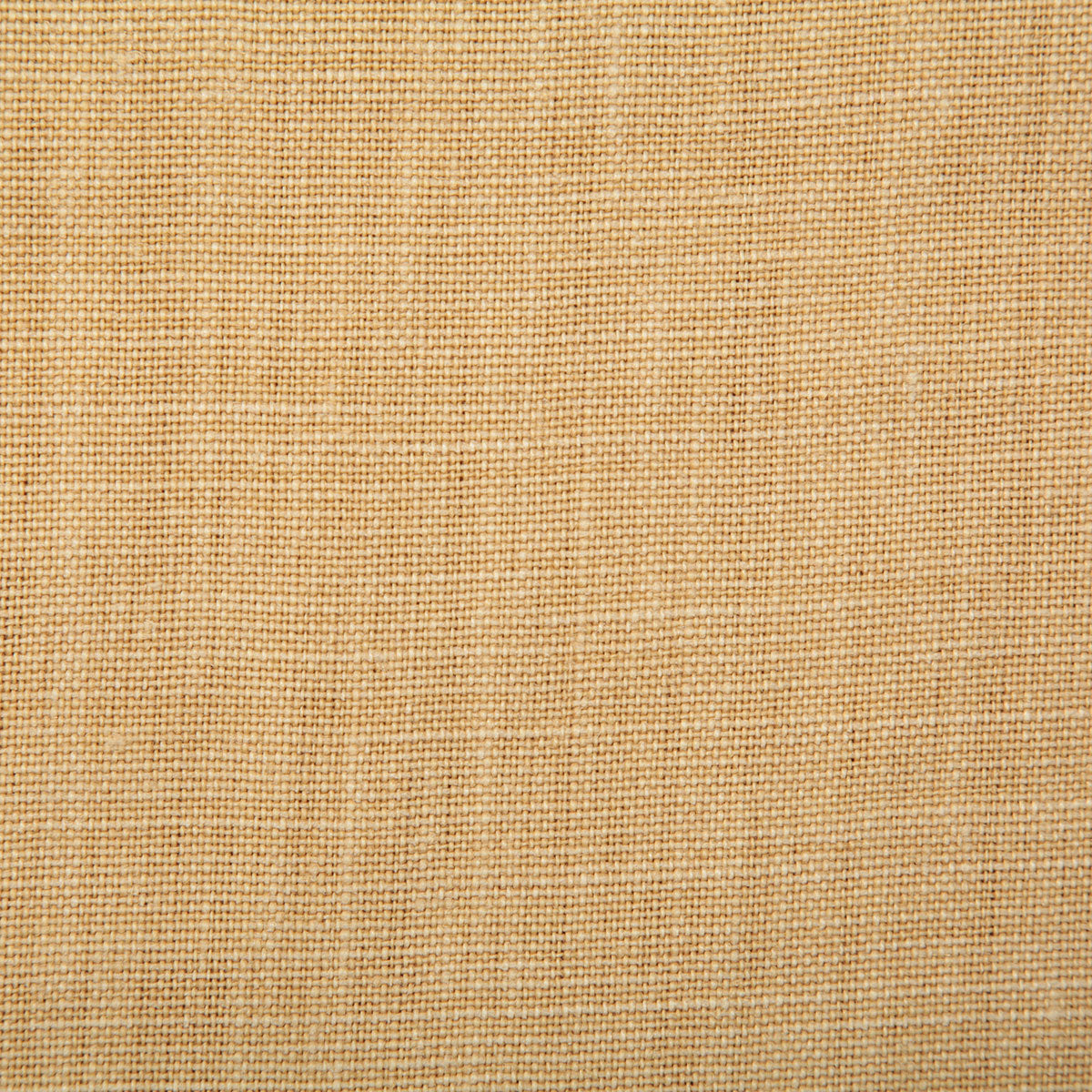 7647-paloma-wheat-pindler