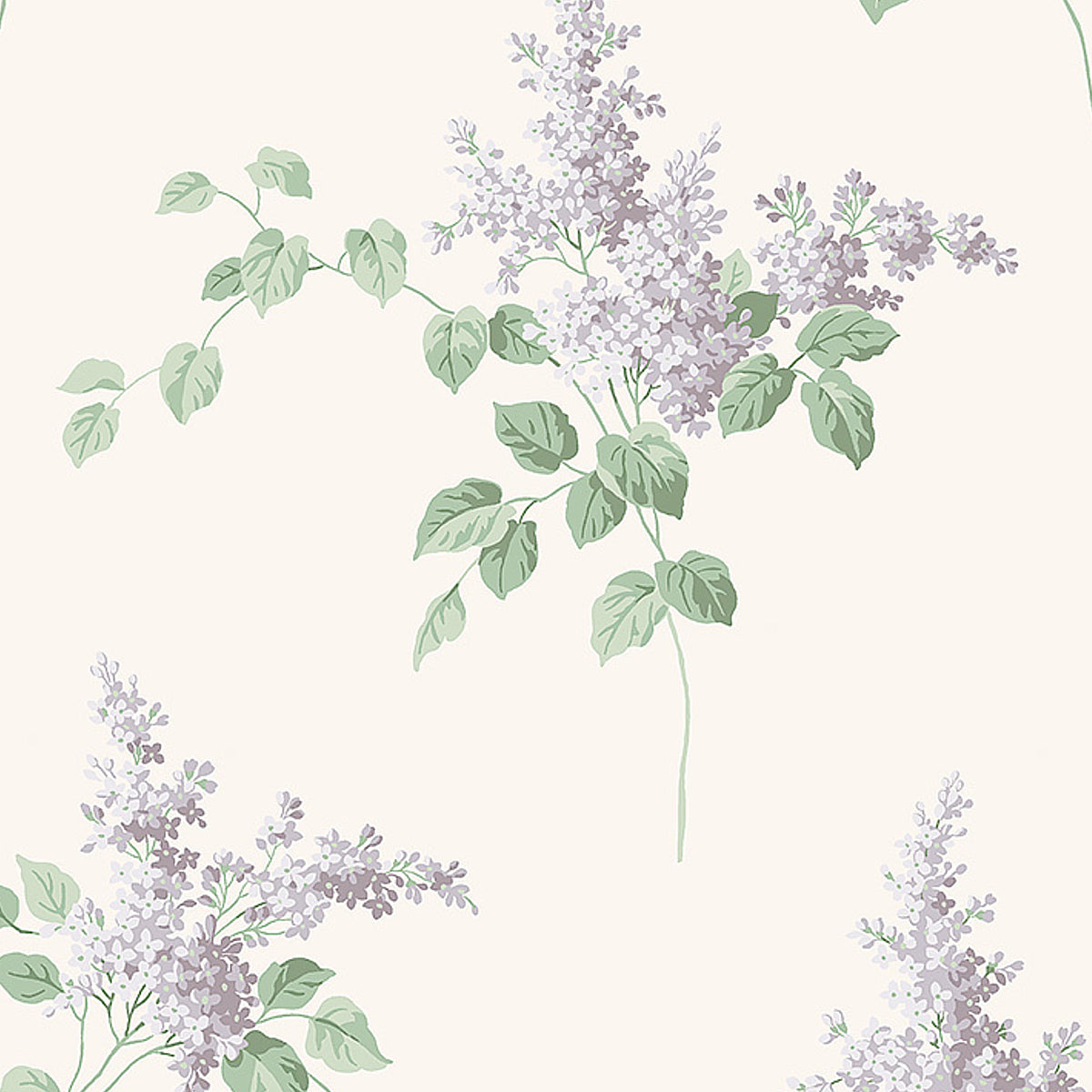 LILACS-LILAC-SCHUMACHER-7668