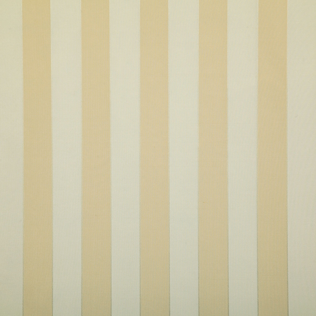 7672-shay-golden-pindler - Pindler Tela