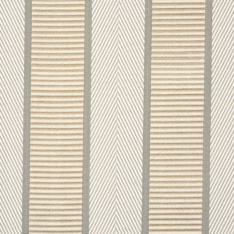 RIBBON-STRIPE-CHAMPAGNE-SCHUMACHER-77101