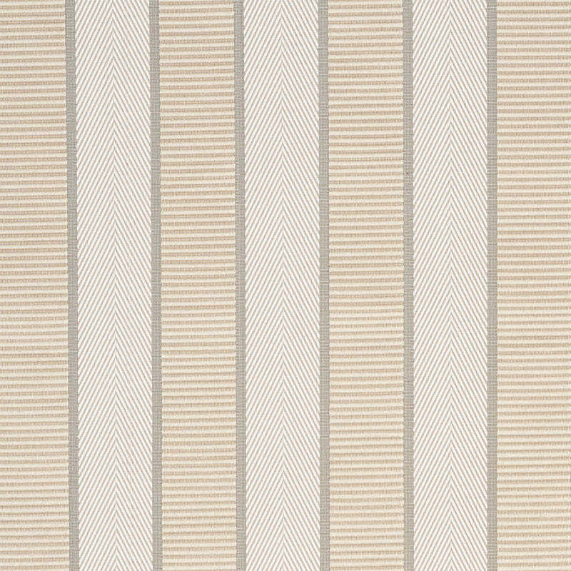 RIBBON-STRIPE-CHAMPAGNE-SCHUMACHER-77101