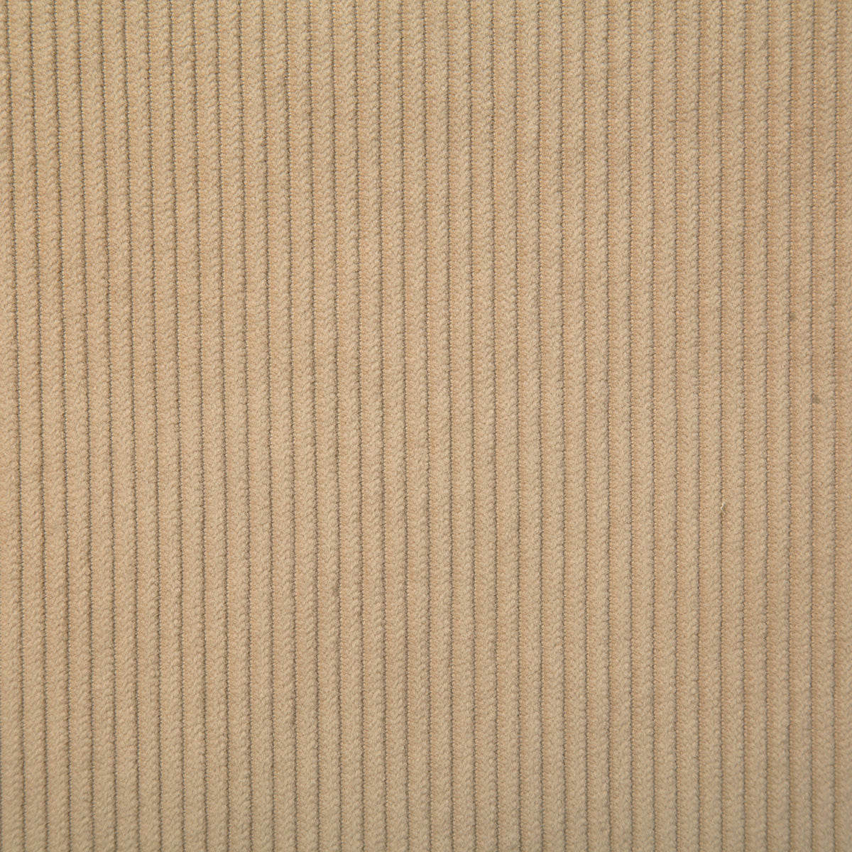 7746-corduroy-camel-pindler