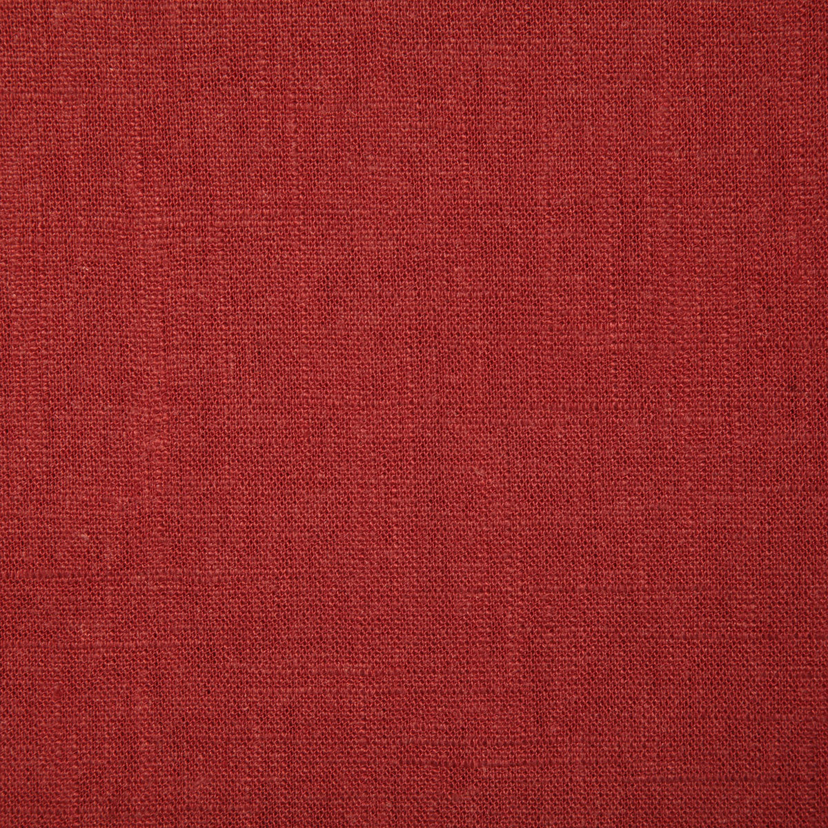 7751-walter-poppy-pindler