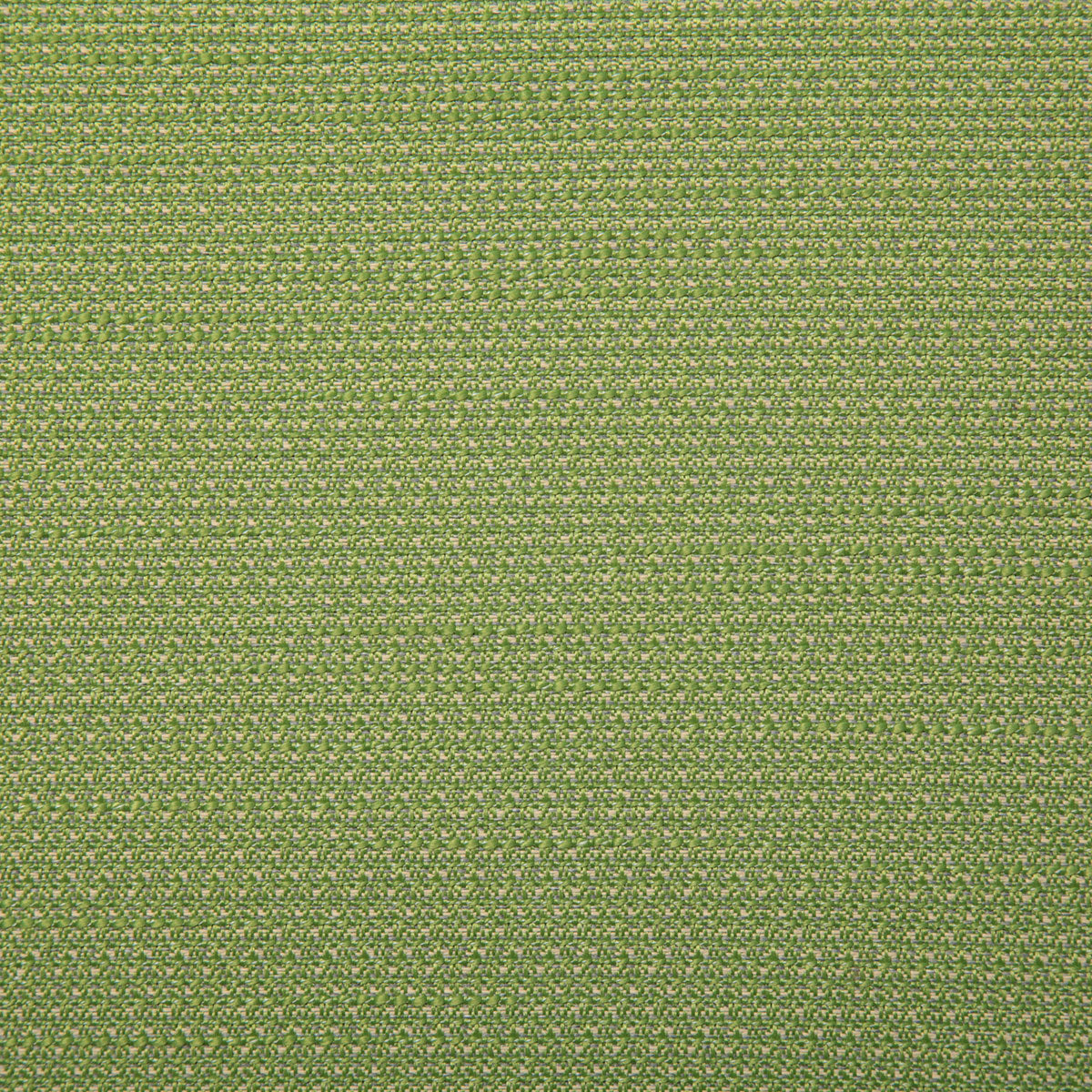 7802-rover-kiwi-pindler - Pindler Tela