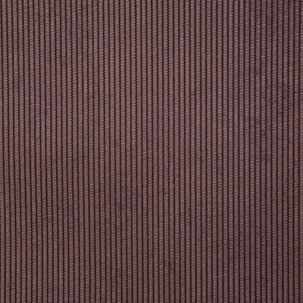 7824-jones-aubergine-pindler