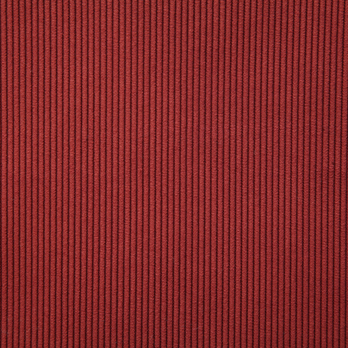 7824-jones-paprika-pindler