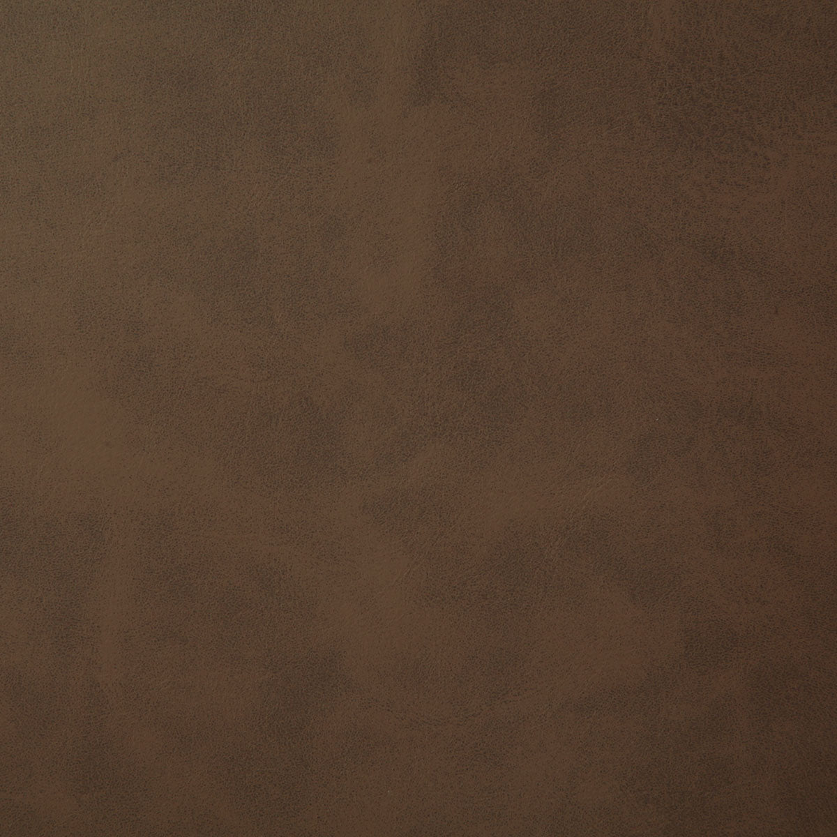 7878-yeehaw-chestnut-pindler - Pindler Tela