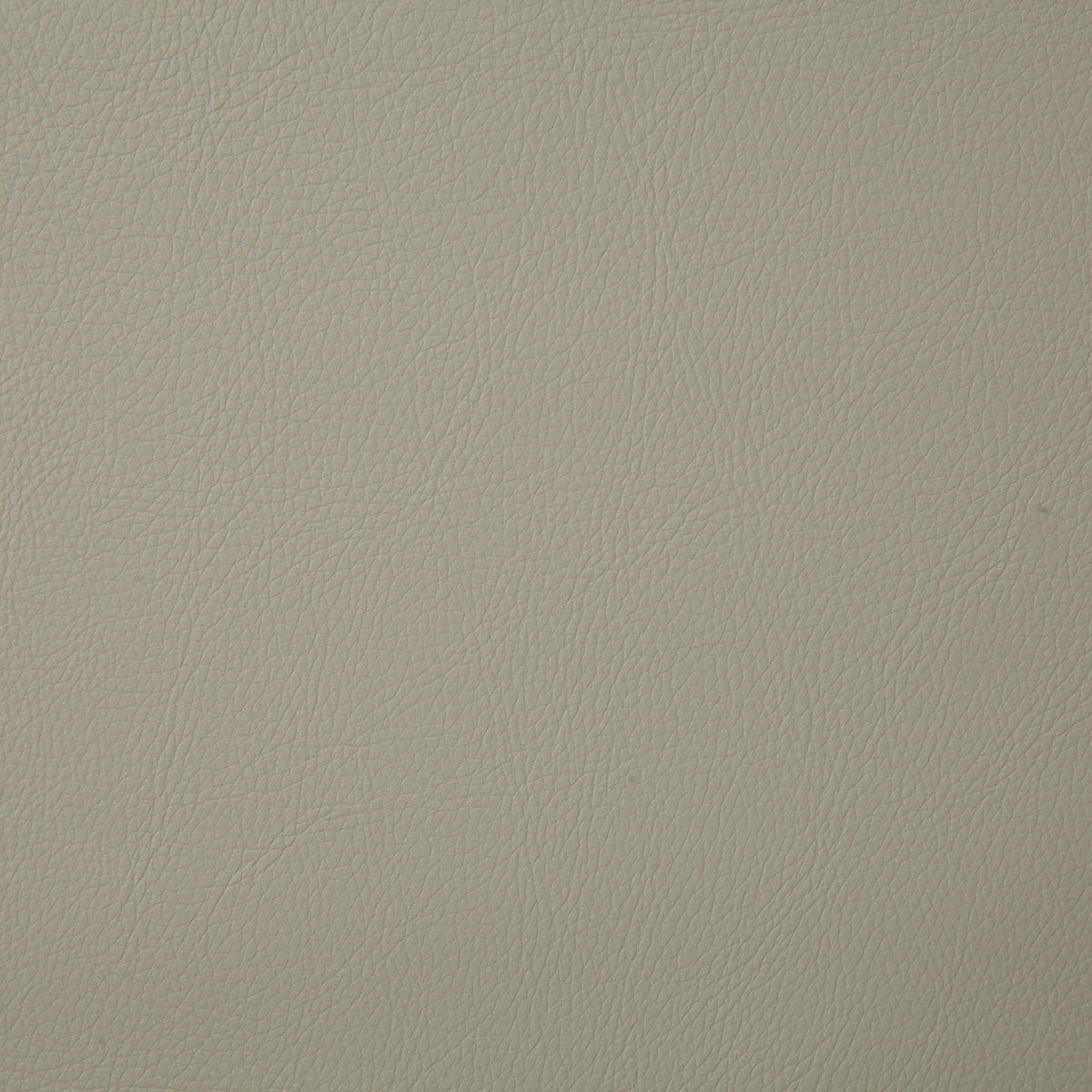 7879-howdy-dove-pindler - Pindler Tela