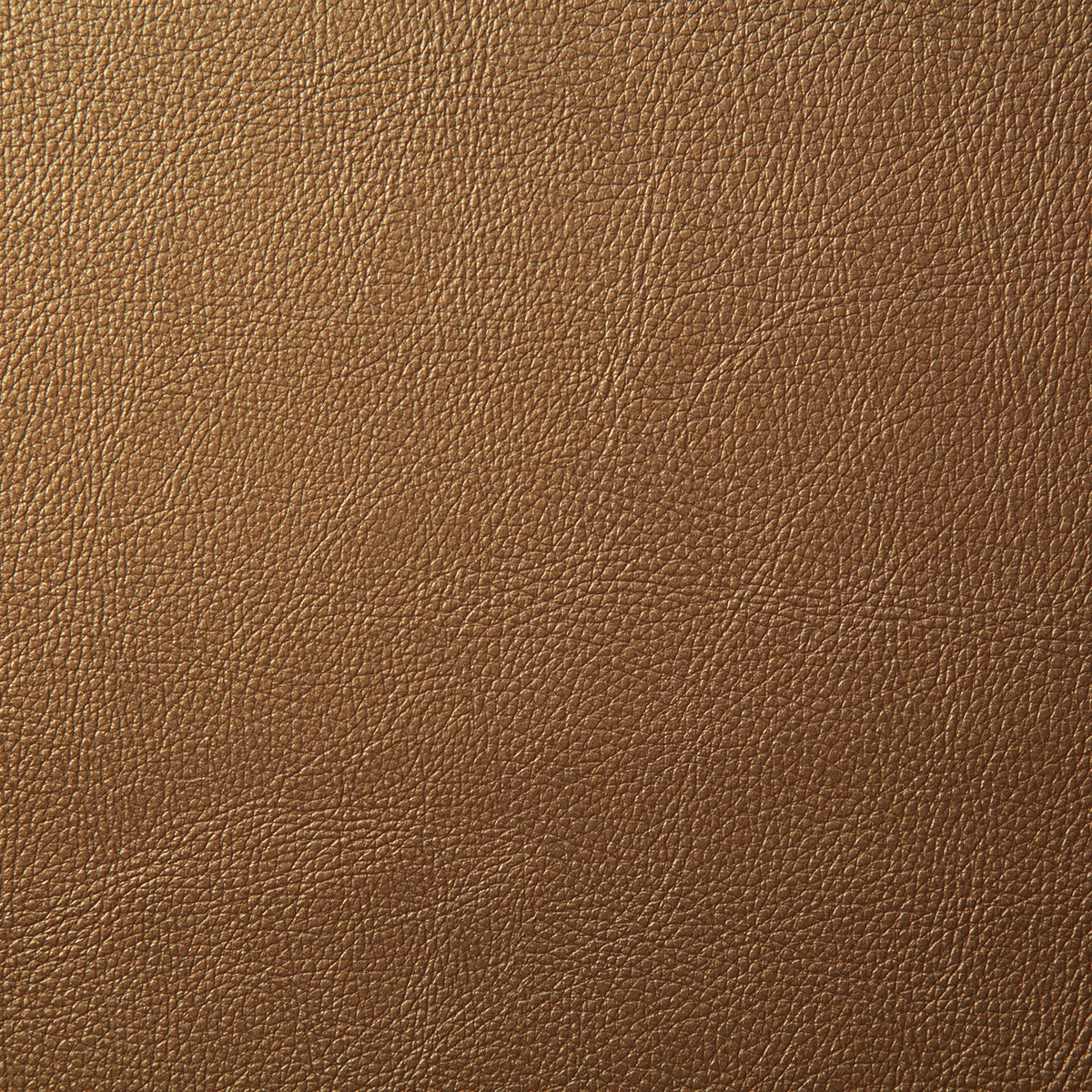 7879-howdy-gold-pindler - Pindler Fabric