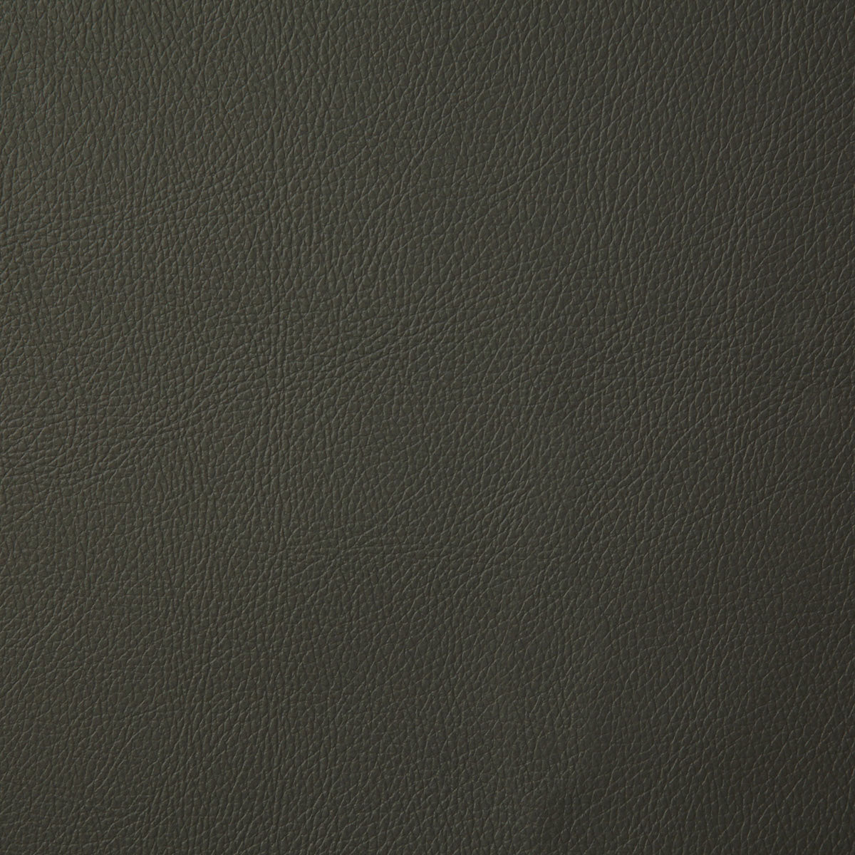 7879-howdy-moss-pindler - Pindler Tela
