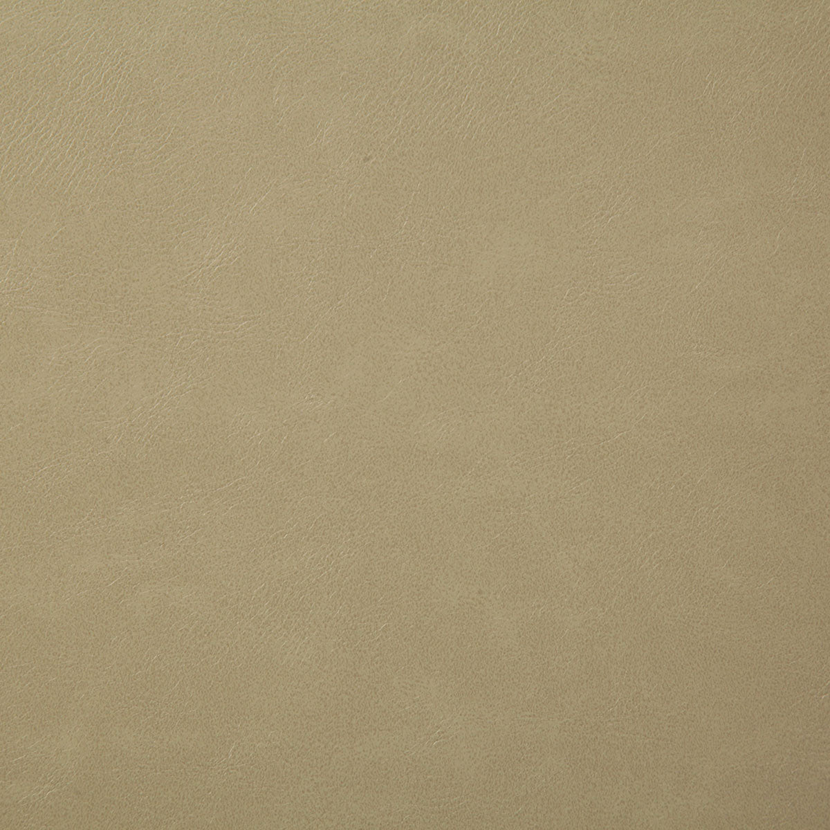 7880-bonanza-oyster-pindler - Pindler Tela