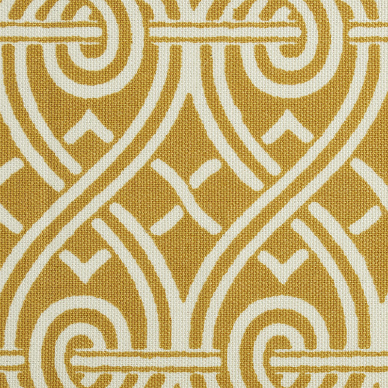 SUZETTE-TAPE-GOLD-SCHUMACHER-79132