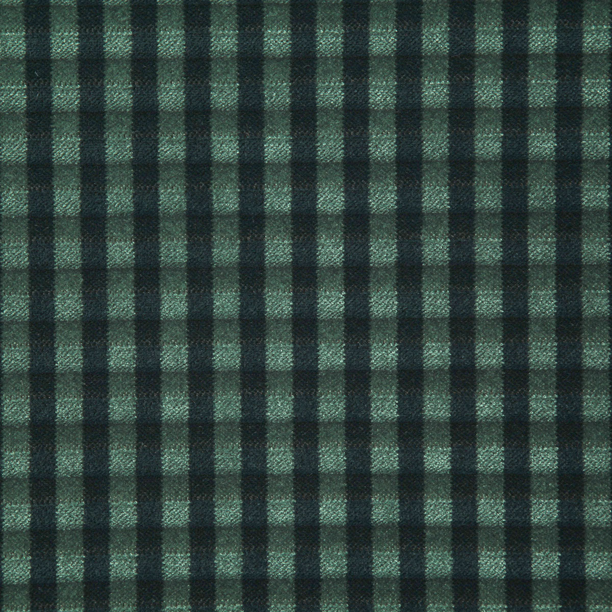 7947-rodger-emerald-pindler