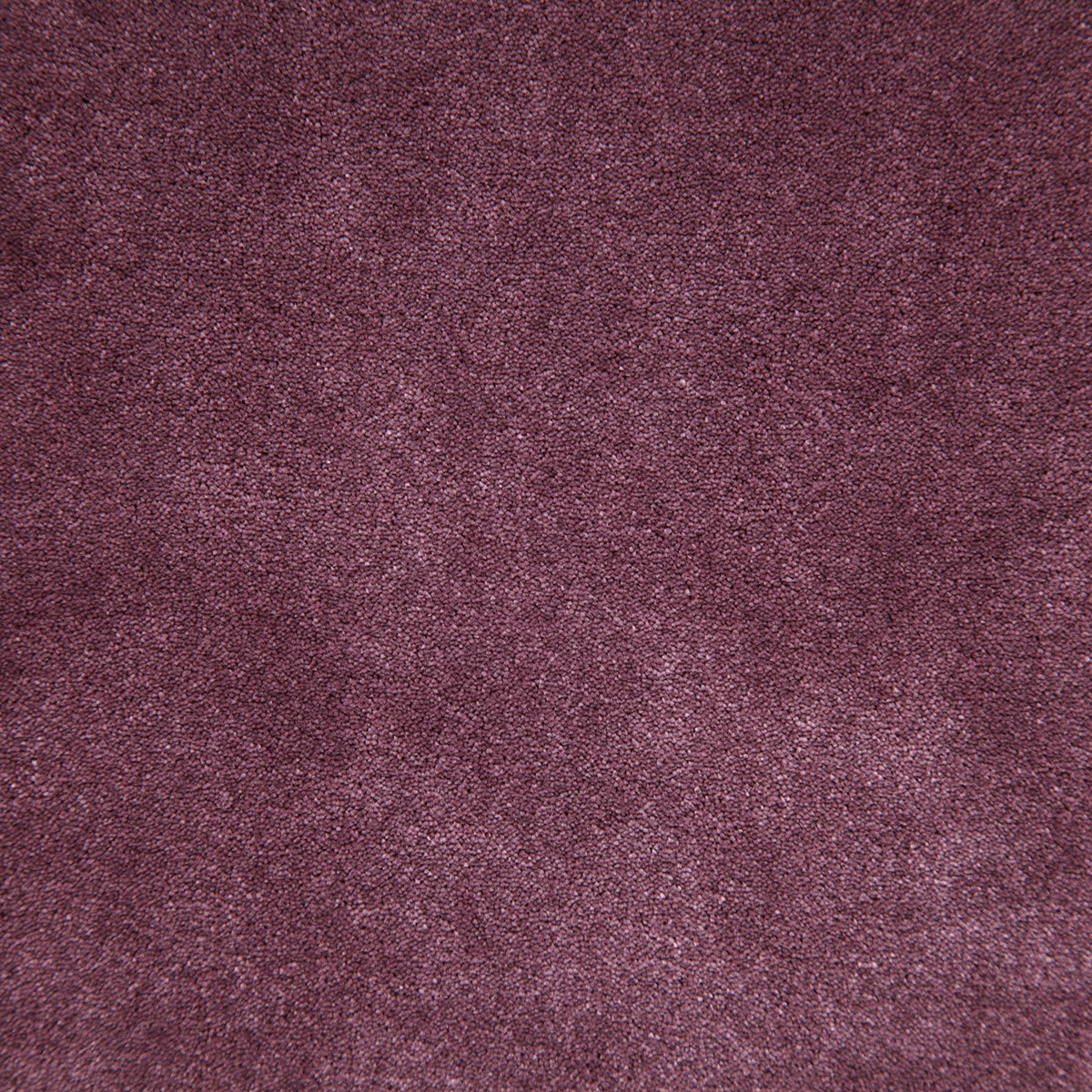 8003-titus-amethyst-pindler - Pindler Tela