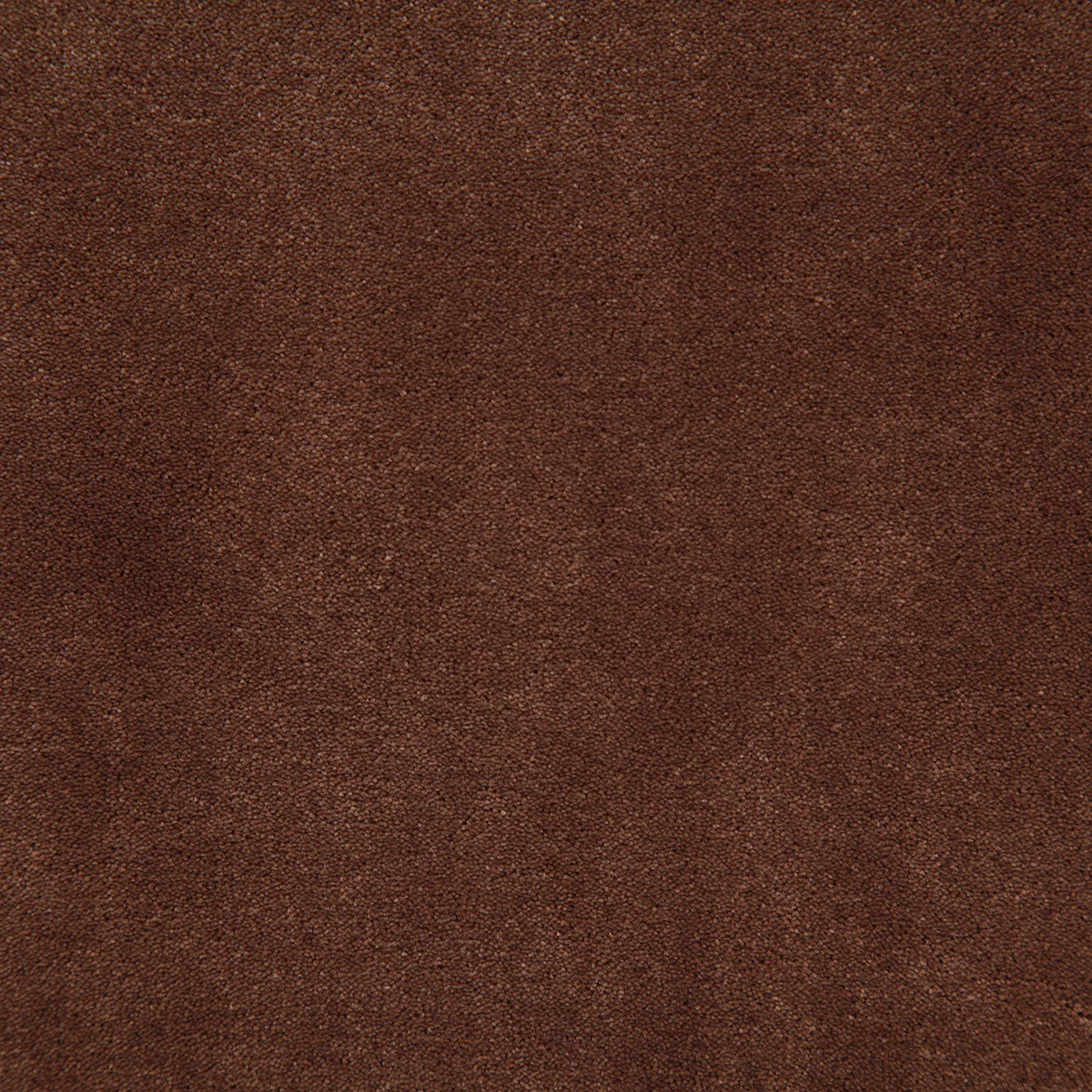 8003-titus-caramel-pindler - Pindler Tela