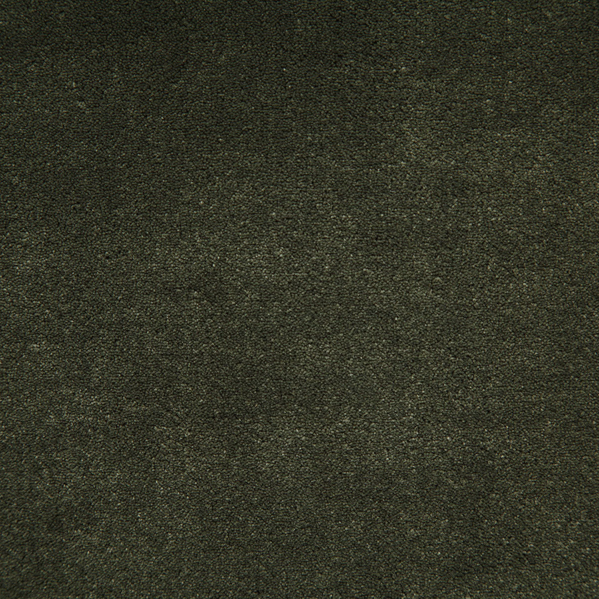 8003-titus-loden-pindler