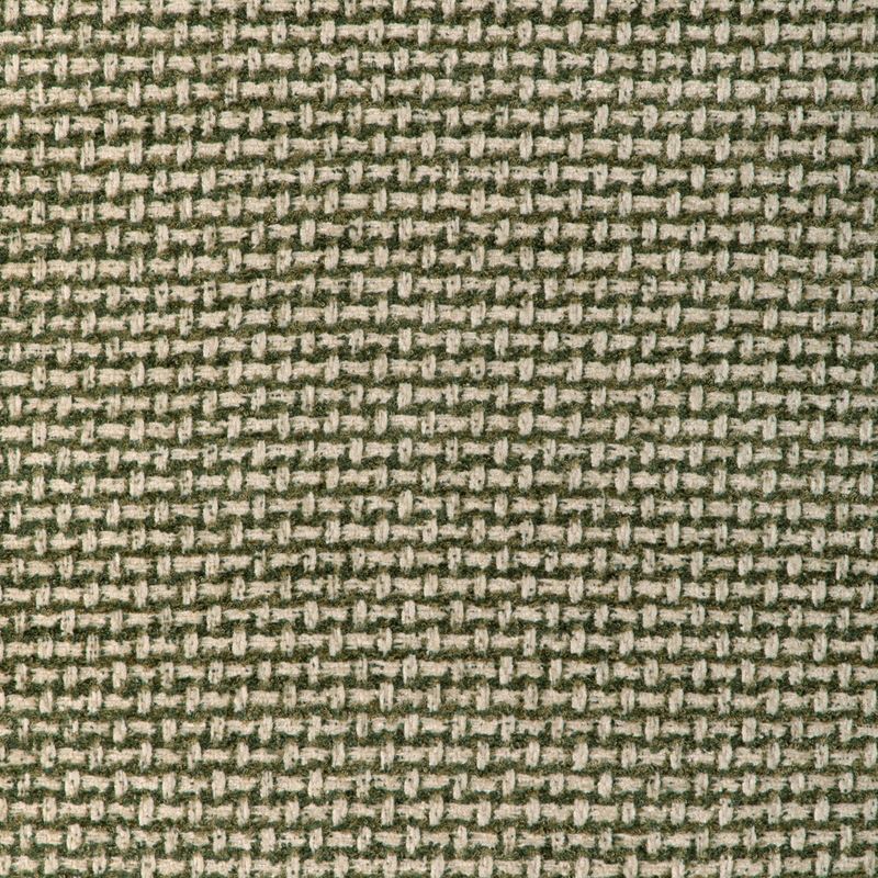 Brunschwig & Fils Fabric 8023154.316 Nivolet Texture Green