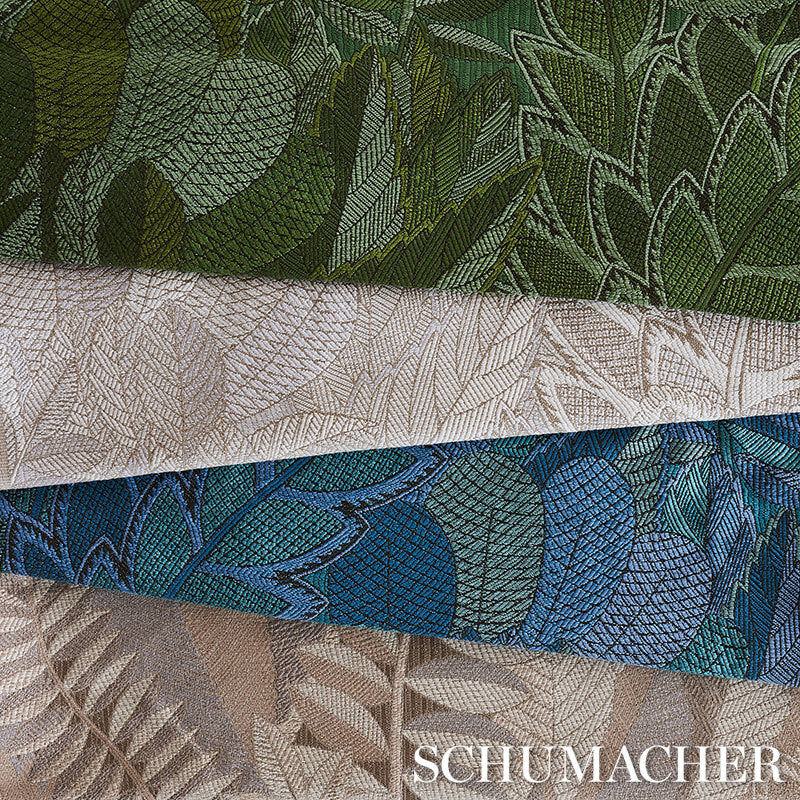 JAPURA-FOREST-NEUTRAL-SCHUMACHER-80561