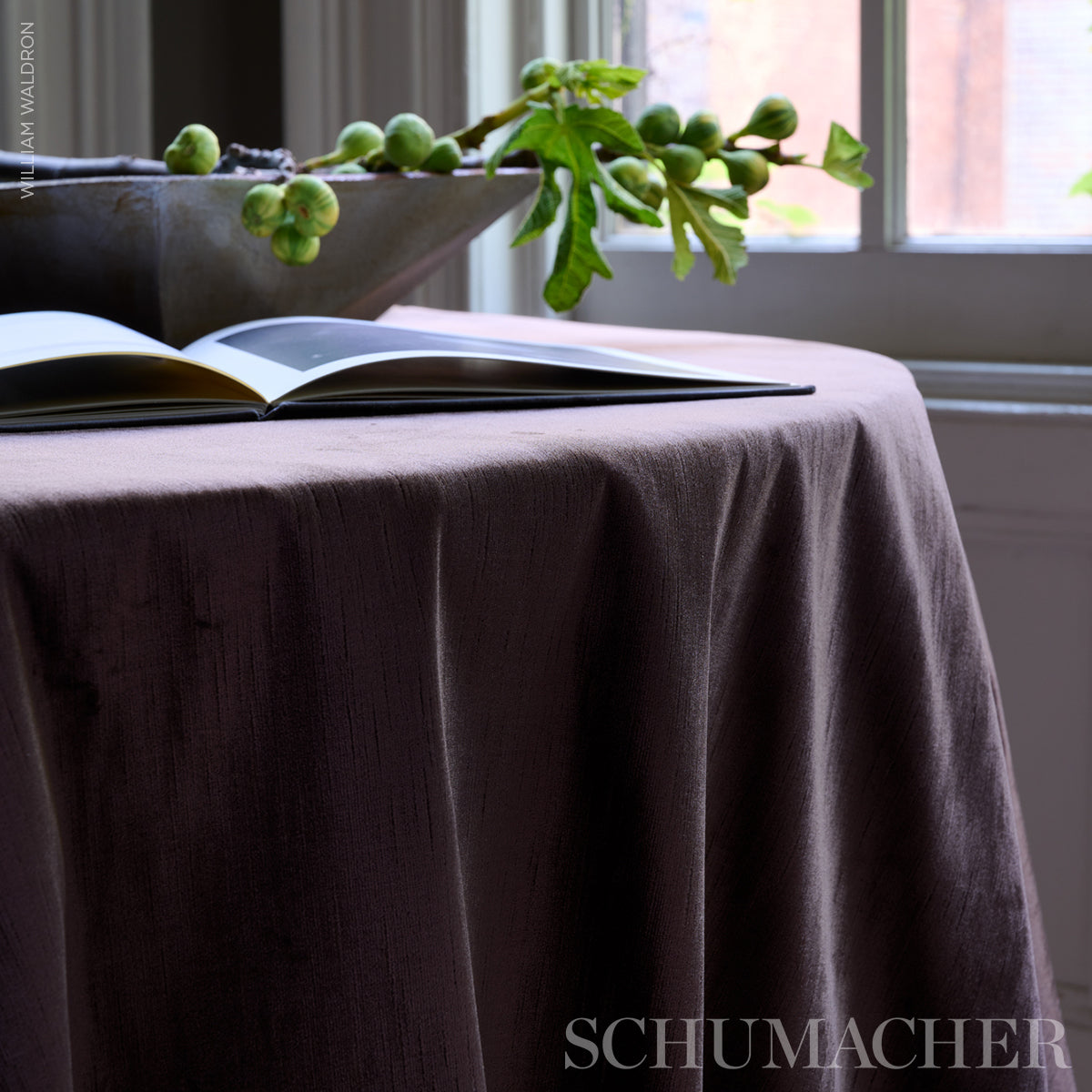 DOROTHEA-SILK-VELVET-ESPRESSO-SCHUMACHER-80690