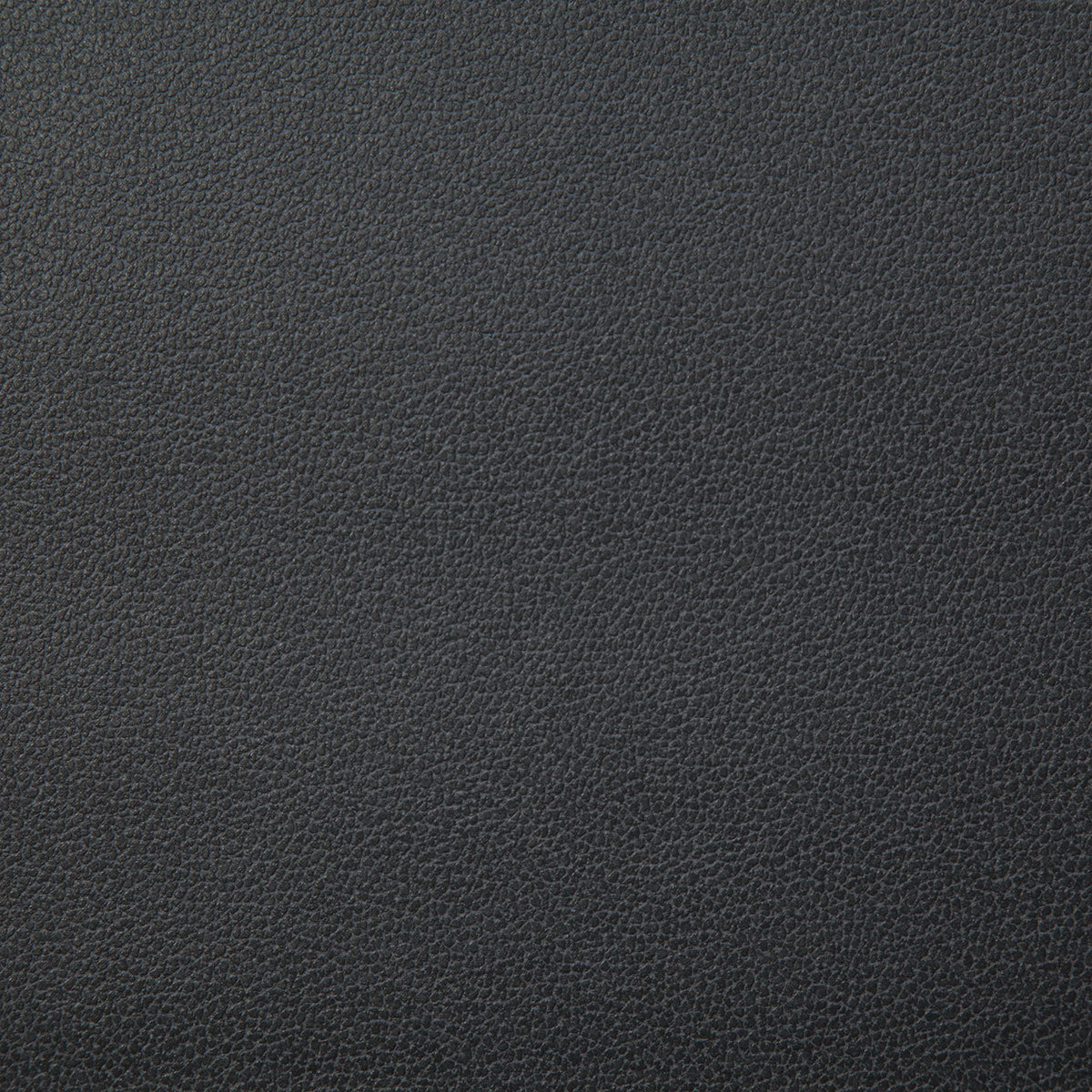 8078-lasso-charcoal-pindler - Pindler Tela