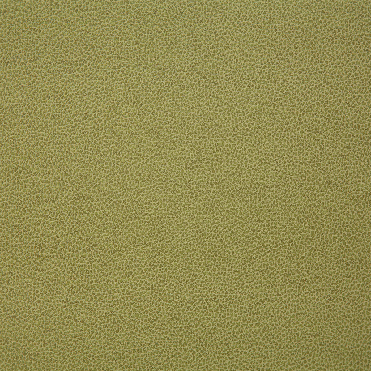 8078-lasso-citron-pindler - Pindler Tela