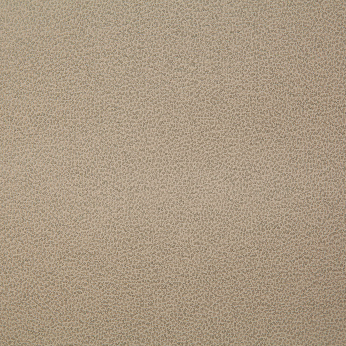 8078-lasso-fawn-pindler - Pindler Tela