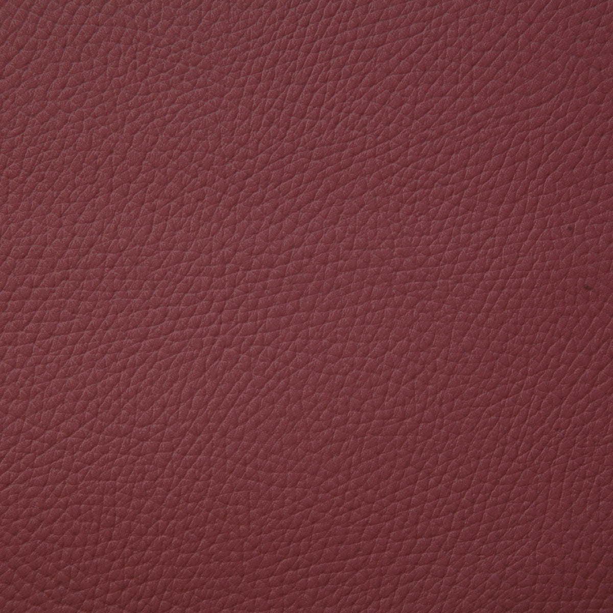 8079-bandero-oxblood-pindler