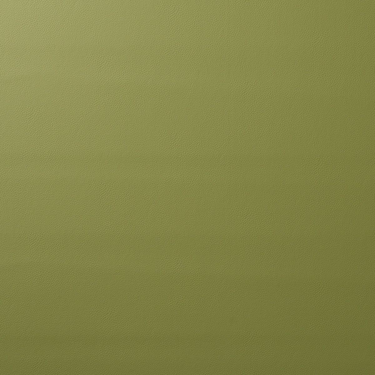 VEGAN-LEATHER-INDOOR-OUTDOOR-MOSS-SCHUMACHER-80907