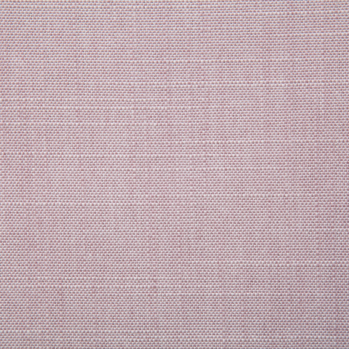 8091-raleigh-lilac-pindler