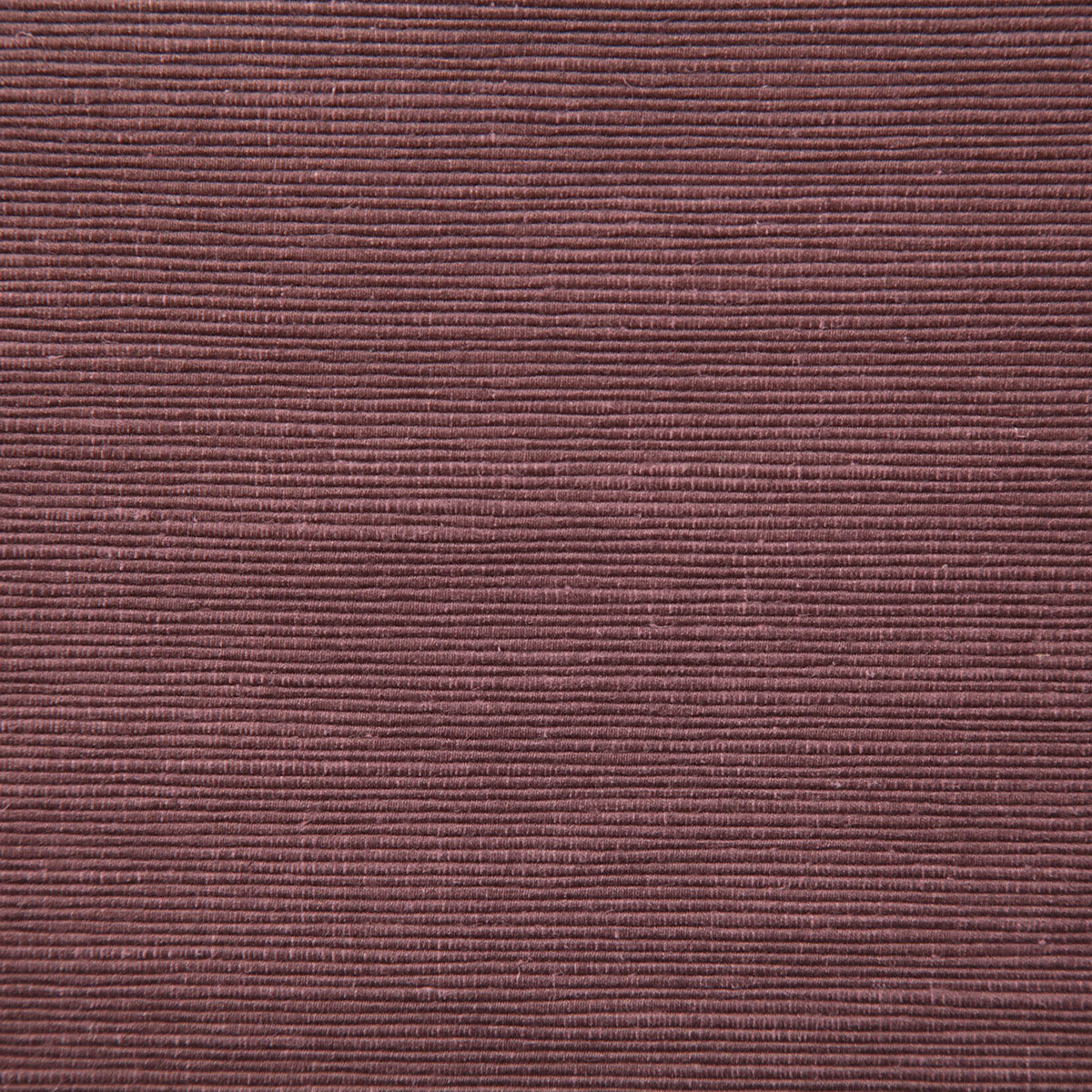 8105-fordham-plum-pindler