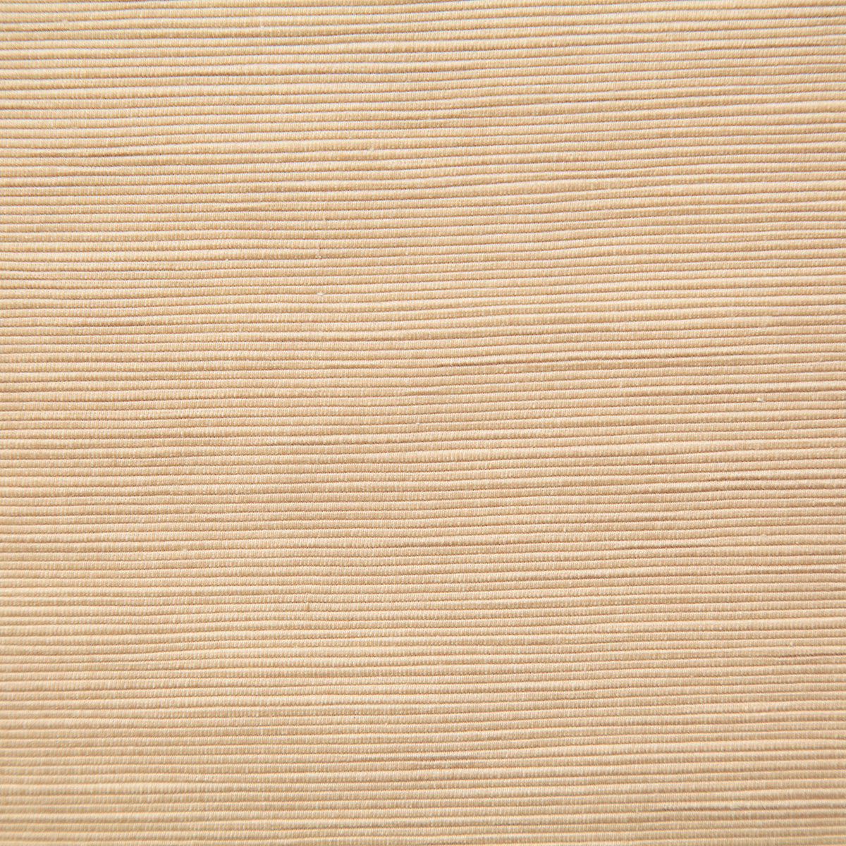 8105-fordham-straw-pindler