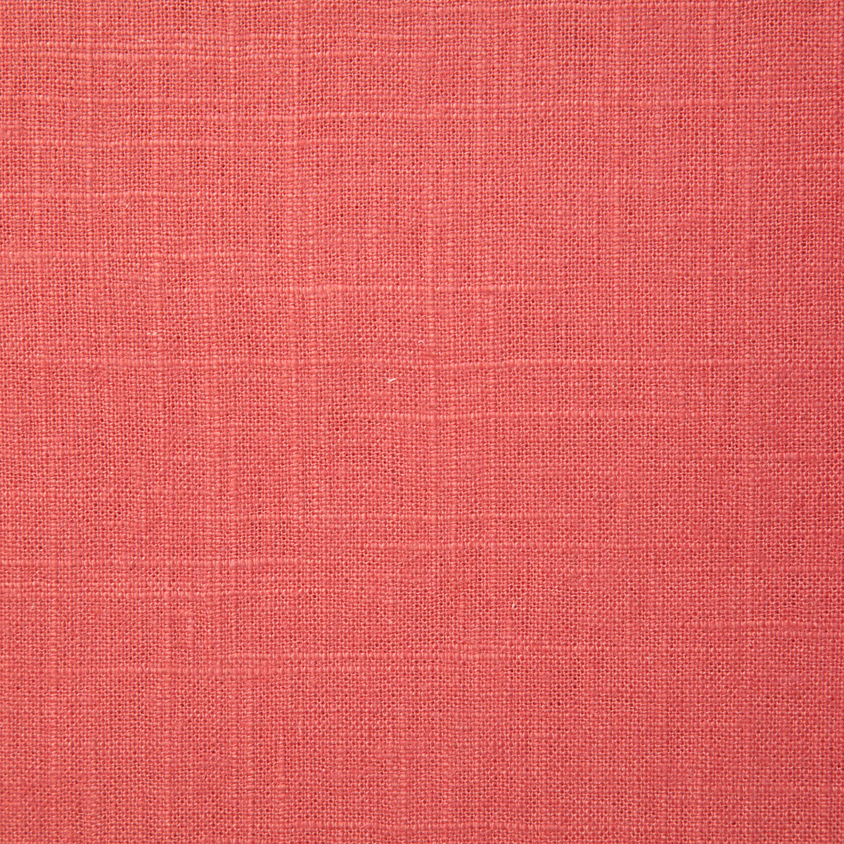 8136-reliance-peony-pindler