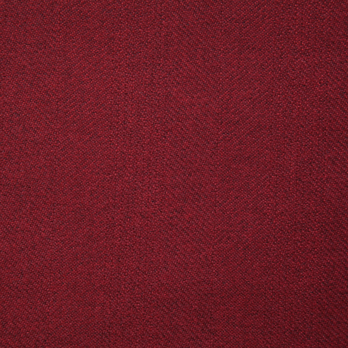 8142-calvin-ruby-pindler - Pindler Tela
