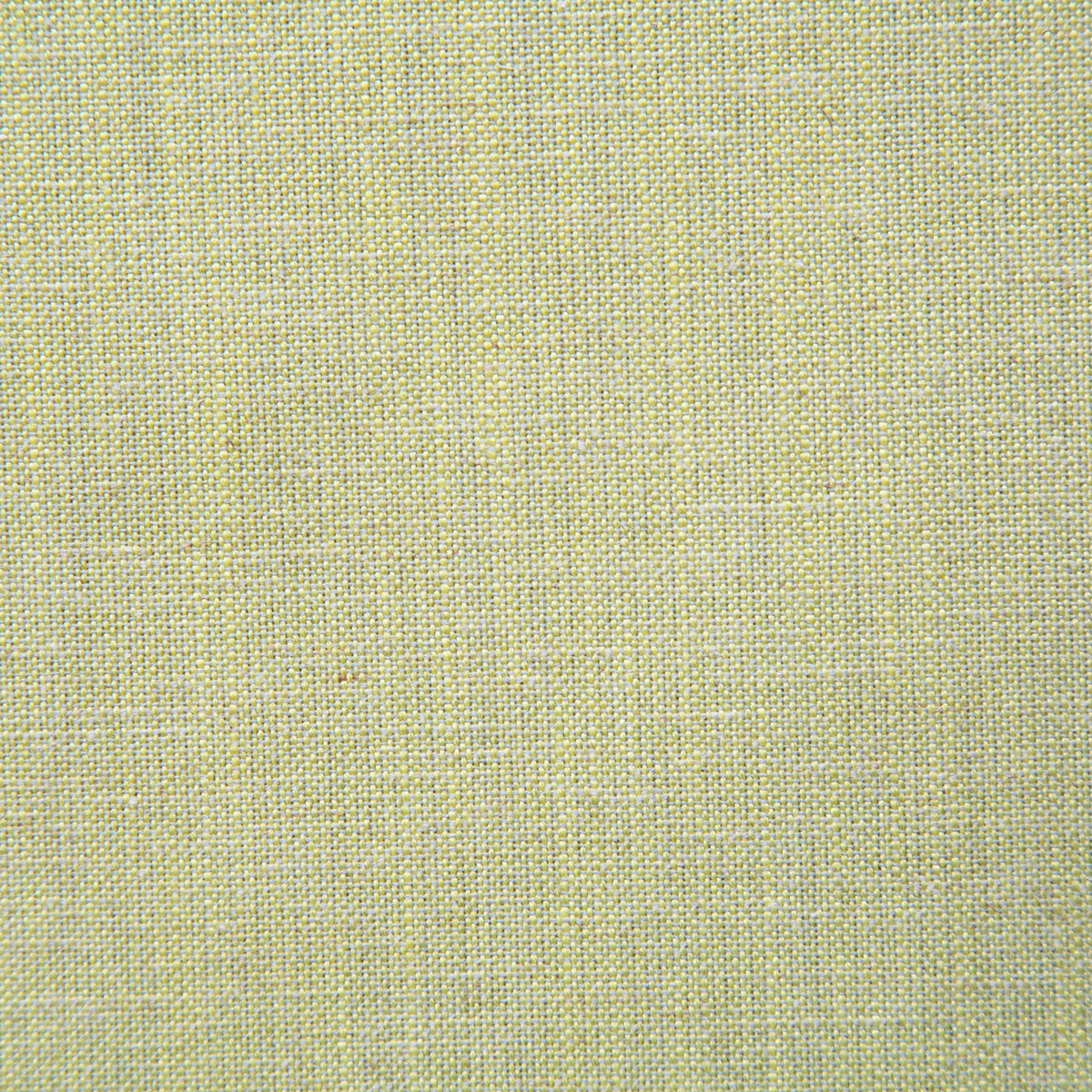 8143-chance-chartreuse-pindler