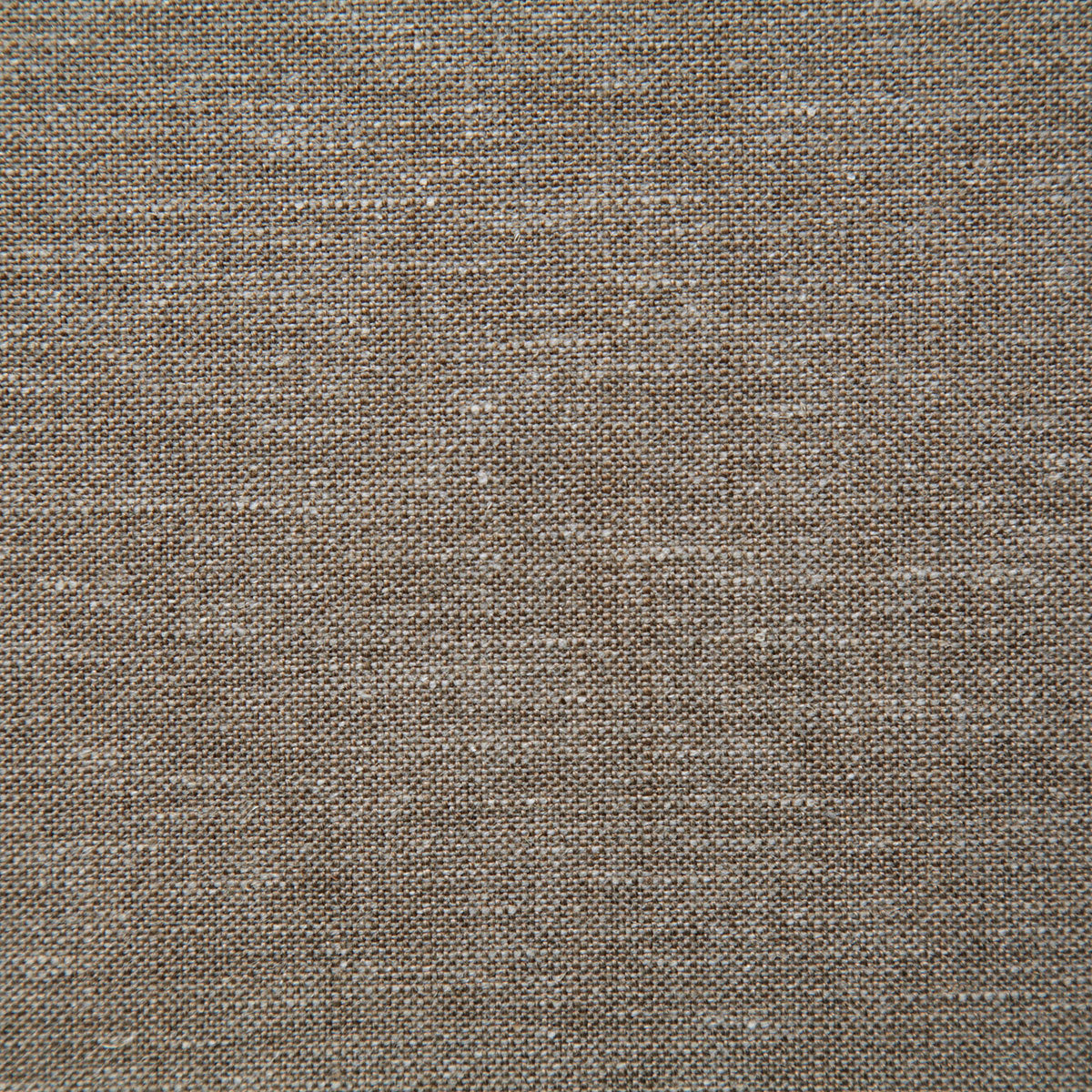 8143-chance-coconut-pindler - Pindler Tela