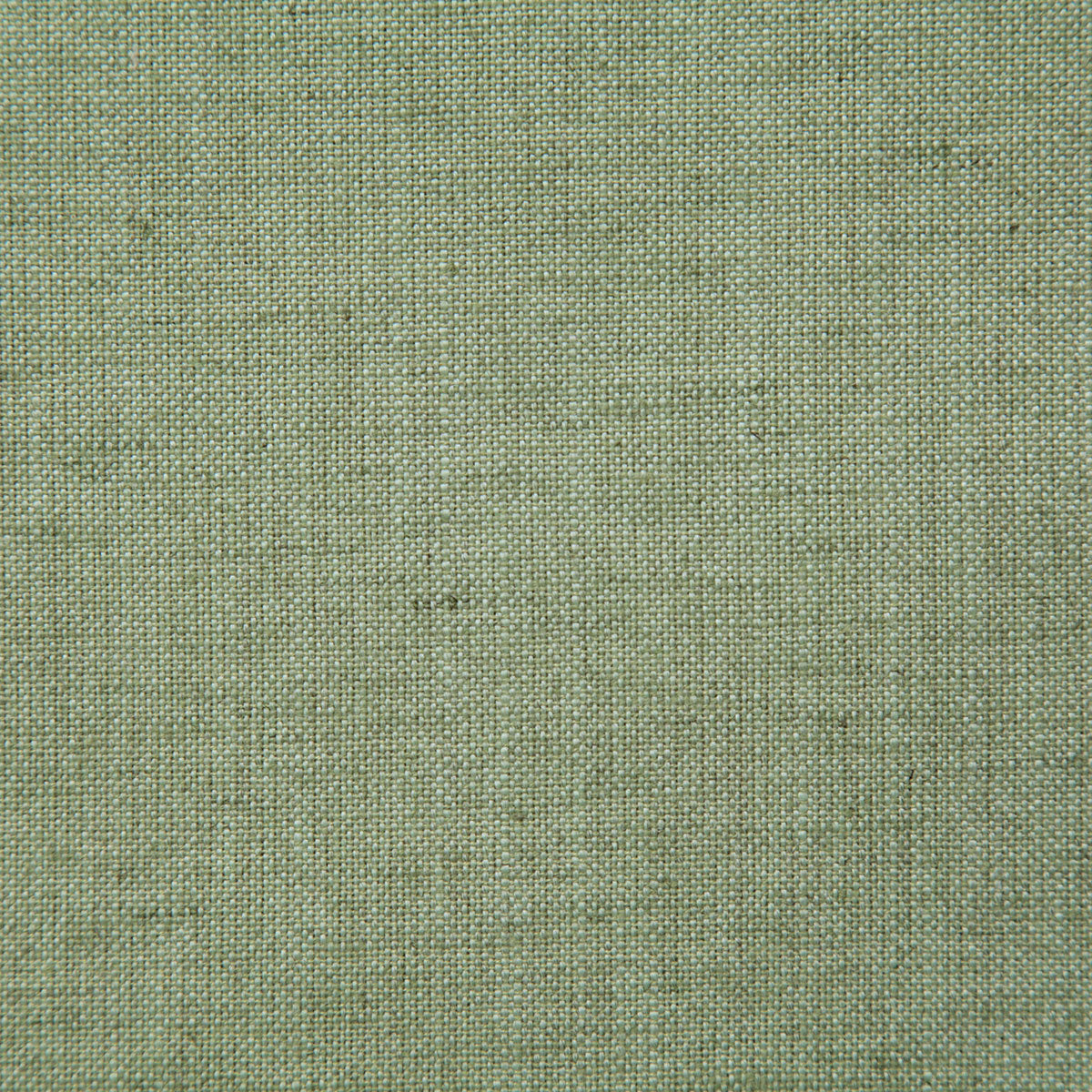 8143-chance-palm-pindler - Pindler Tela