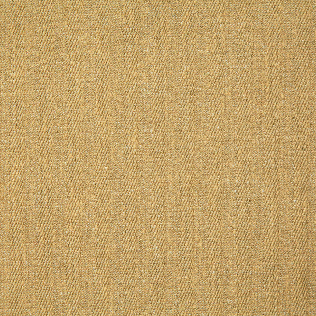 8154-canfield-honey-pindler