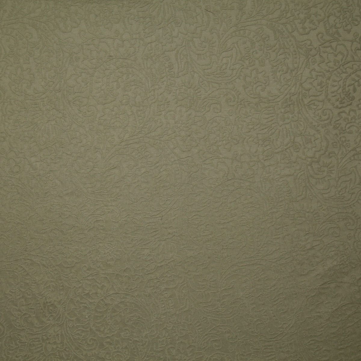 8156-crandall-olive-pindler