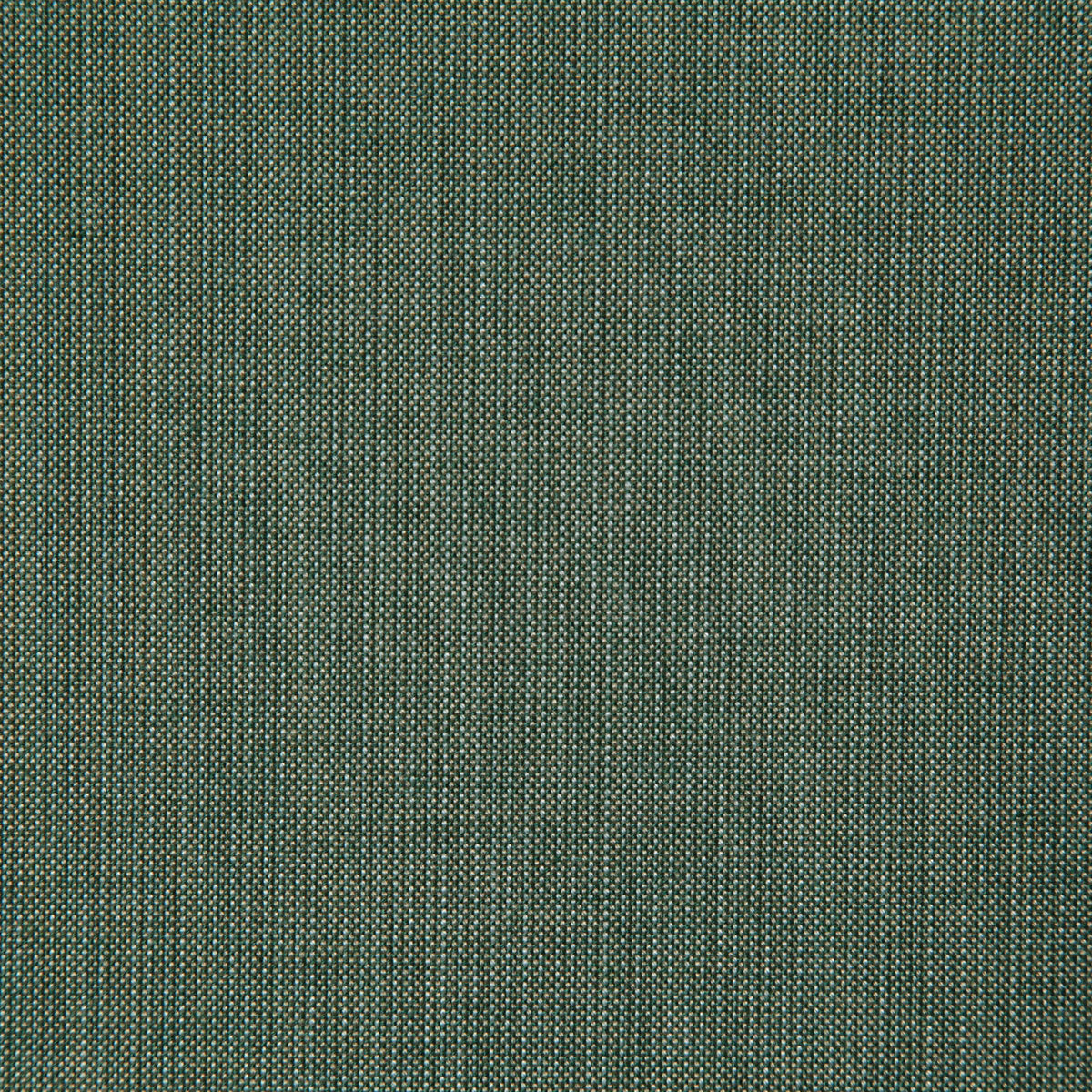 8166-rockwell-jungle-pindler