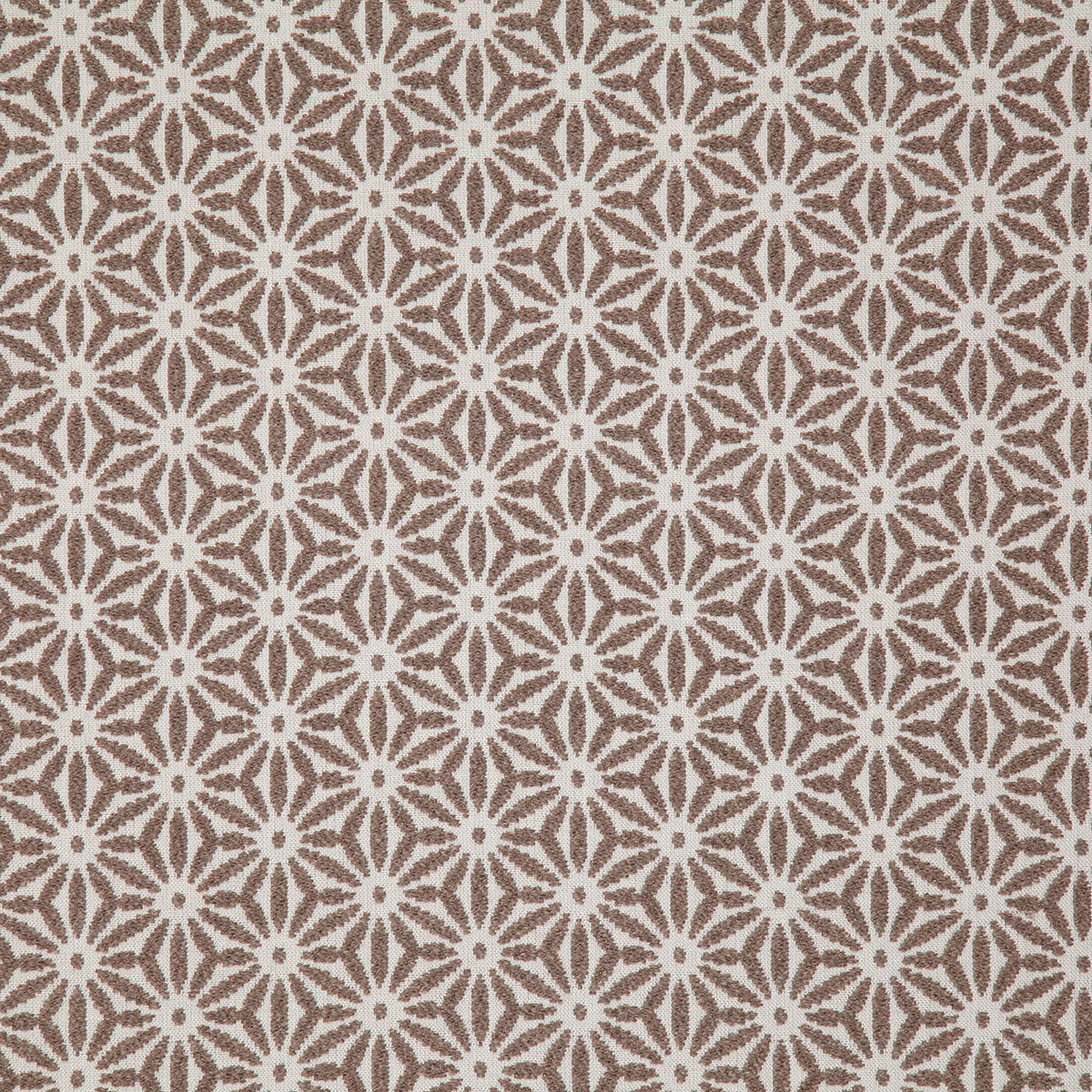 8169-tidepool-pebble-pindler